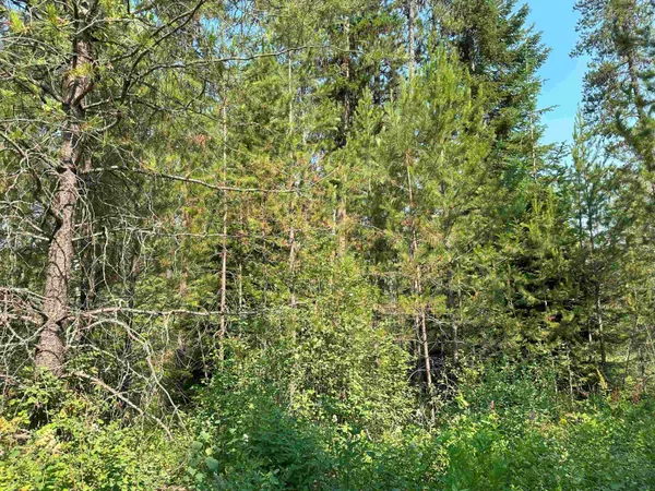 $1,200,000 | 7398 Cottonwood Road, Ford, WA 99013