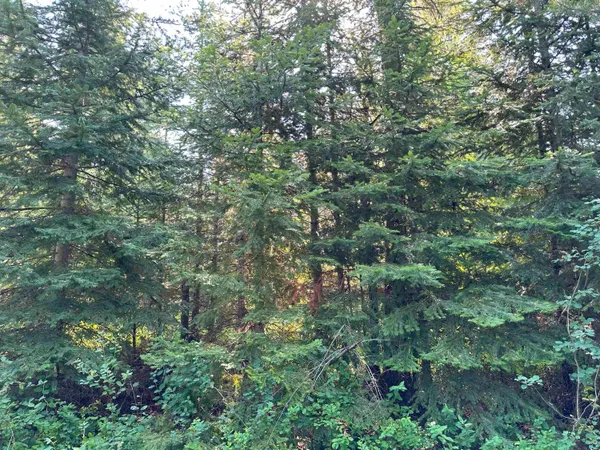 $1,200,000 | 7398 Cottonwood Road, Ford, WA 99013