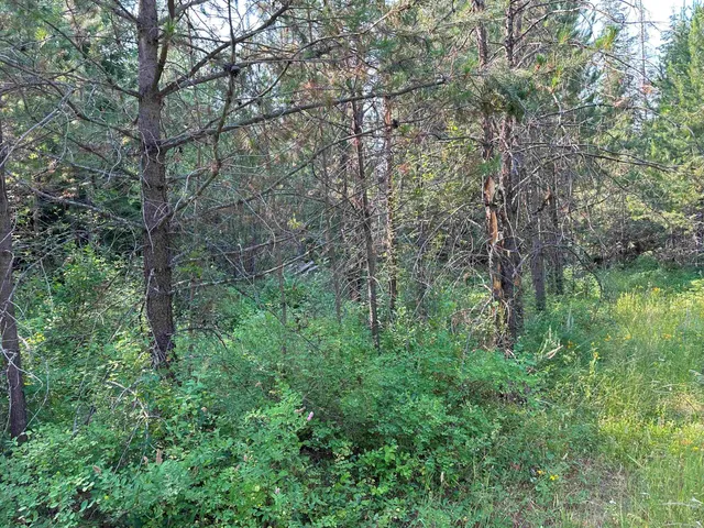 $1,200,000 | 7398 Cottonwood Road, Ford, WA 99013