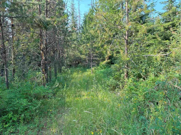 $1,200,000 | 7398 Cottonwood Road, Ford, WA 99013