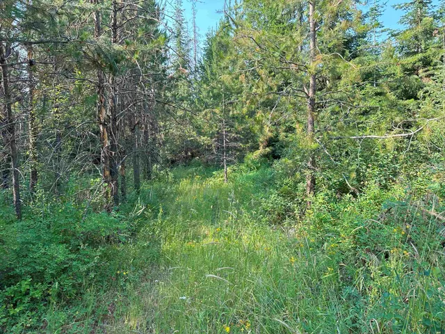 $1,200,000 | 7398 Cottonwood Road, Ford, WA 99013