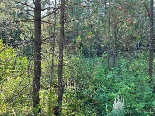 $1,200,000 | 7398 Cottonwood Road, Ford, WA 99013