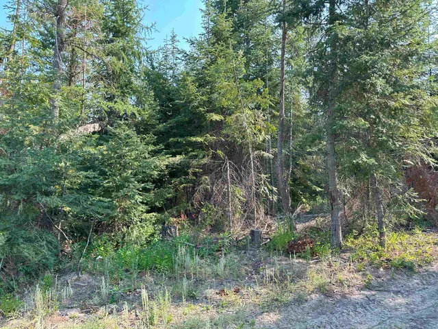 $1,200,000 | 7398 Cottonwood Road, Ford, WA 99013