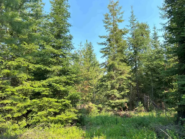 $1,200,000 | 7398 Cottonwood Road, Ford, WA 99013