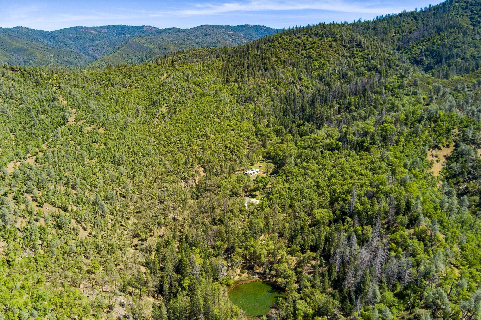 6691 Reading Creek Road Douglas City, CA 96024 - Photo 99 of 101 099-6691 Reading Creek-397