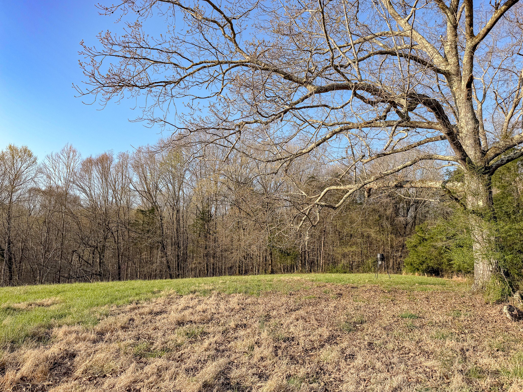 620 Piney Road Dickson, TN 37055 - Photo 12 of 39