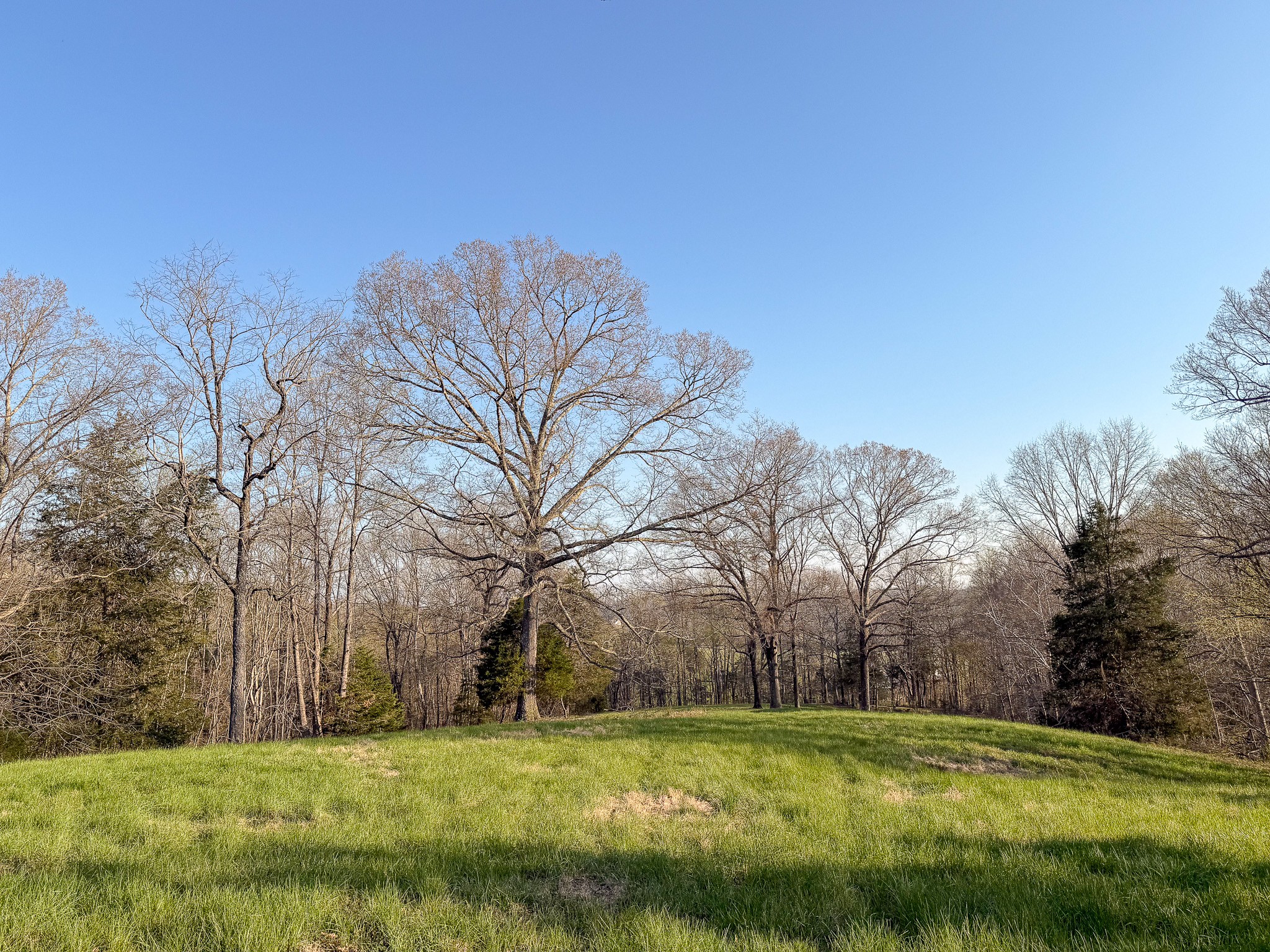 620 Piney Road Dickson, TN 37055 - Photo 15 of 39