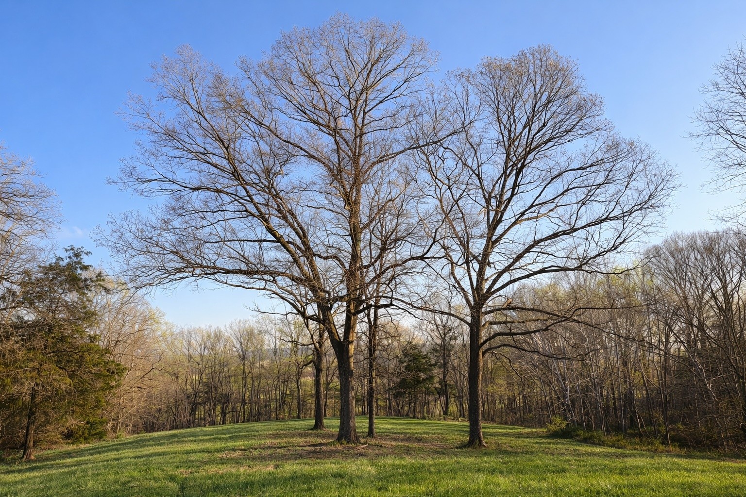 620 Piney Road Dickson, TN 37055 - Photo 2 of 39