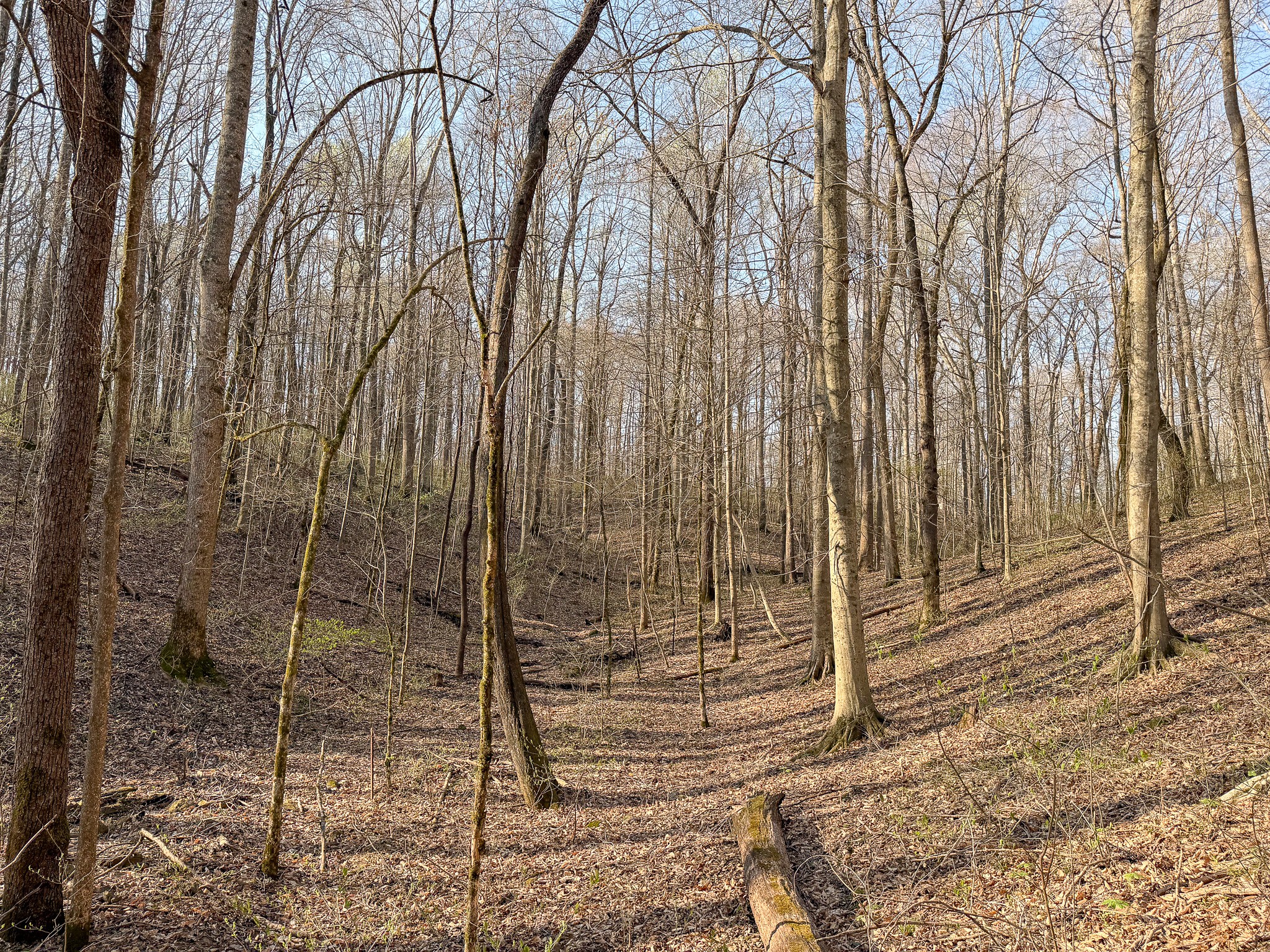 620 Piney Road Dickson, TN 37055 - Photo 22 of 39