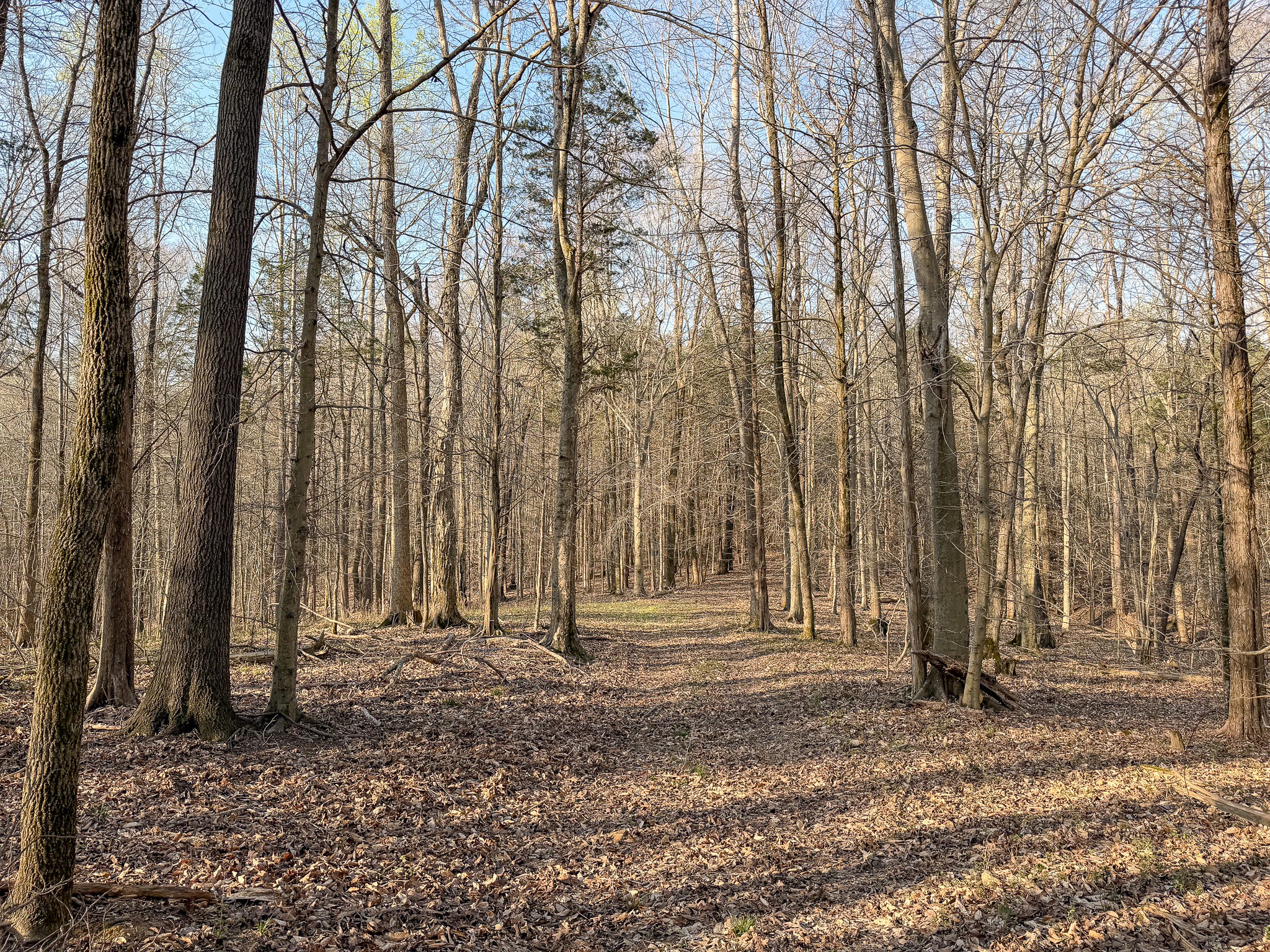 620 Piney Road Dickson, TN 37055 - Photo 23 of 39