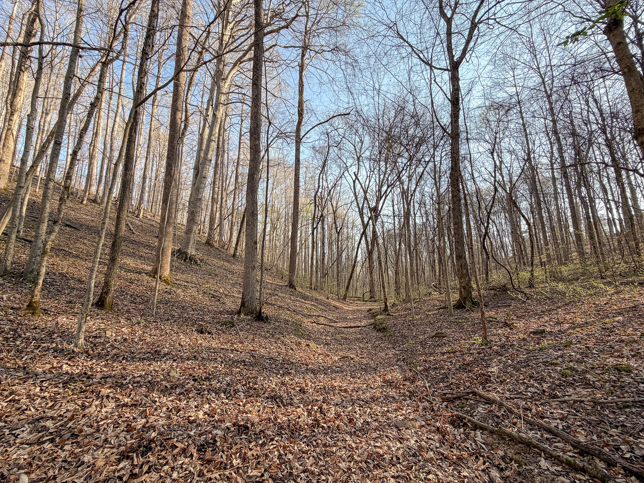 620 Piney Road Dickson, TN 37055 - Photo 24 of 39