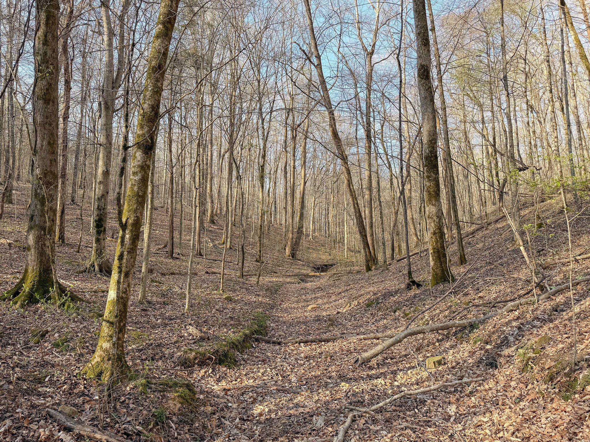 620 Piney Road Dickson, TN 37055 - Photo 25 of 39