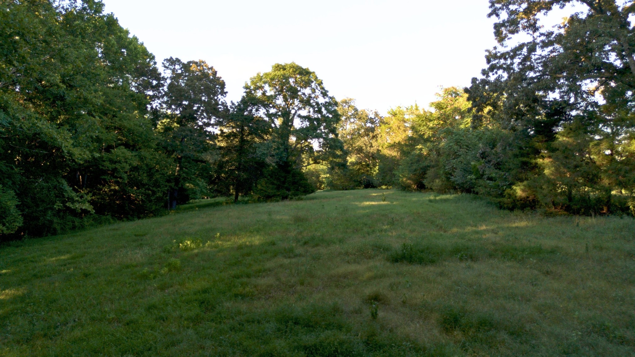 620 Piney Road Dickson, TN 37055 - Photo 33 of 39