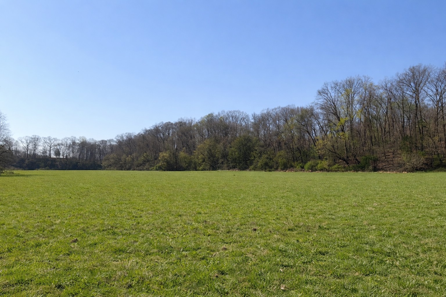 620 Piney Road Dickson, TN 37055 - Photo 34 of 39