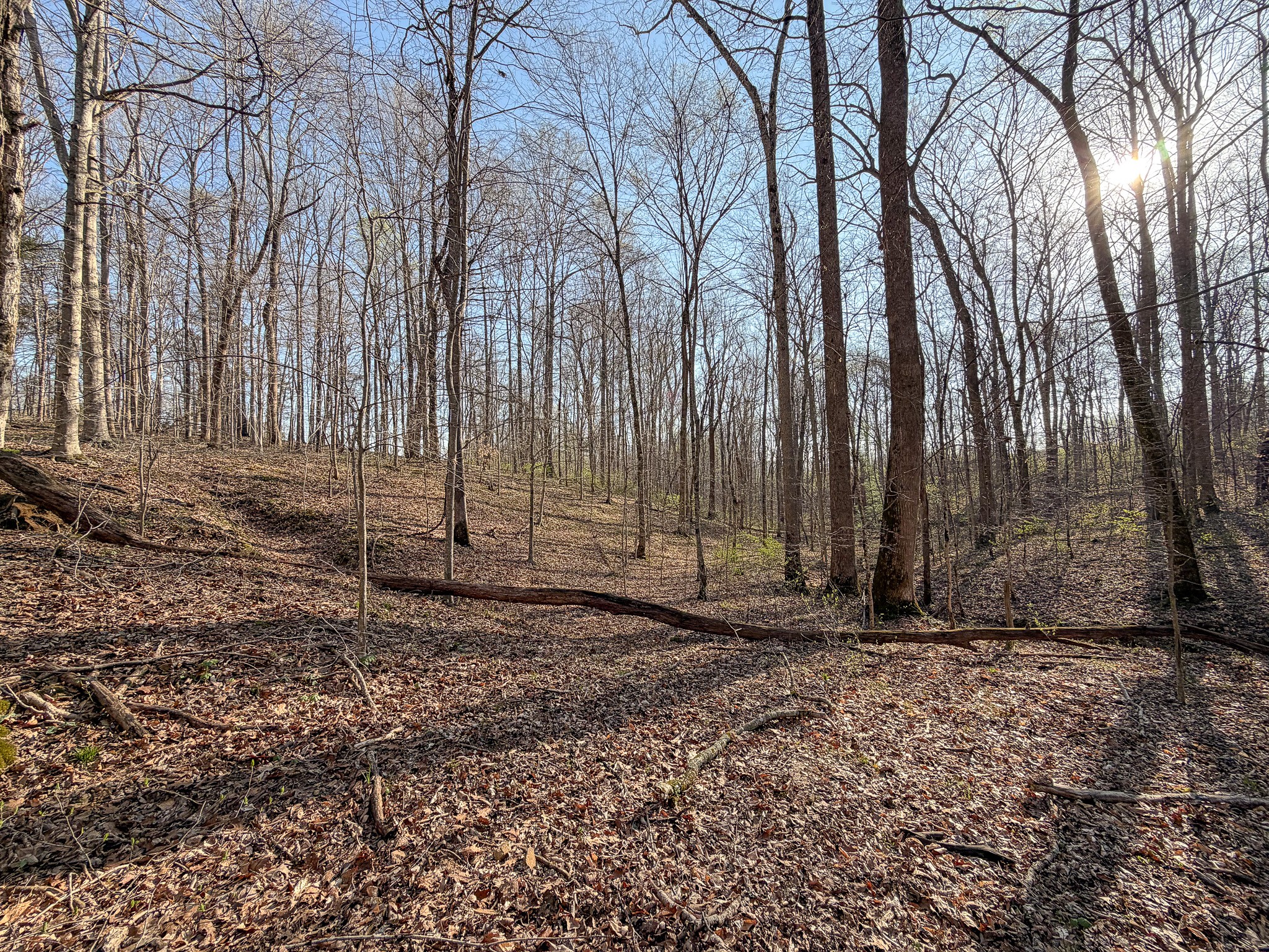 620 Piney Road Dickson, TN 37055 - Photo 37 of 39