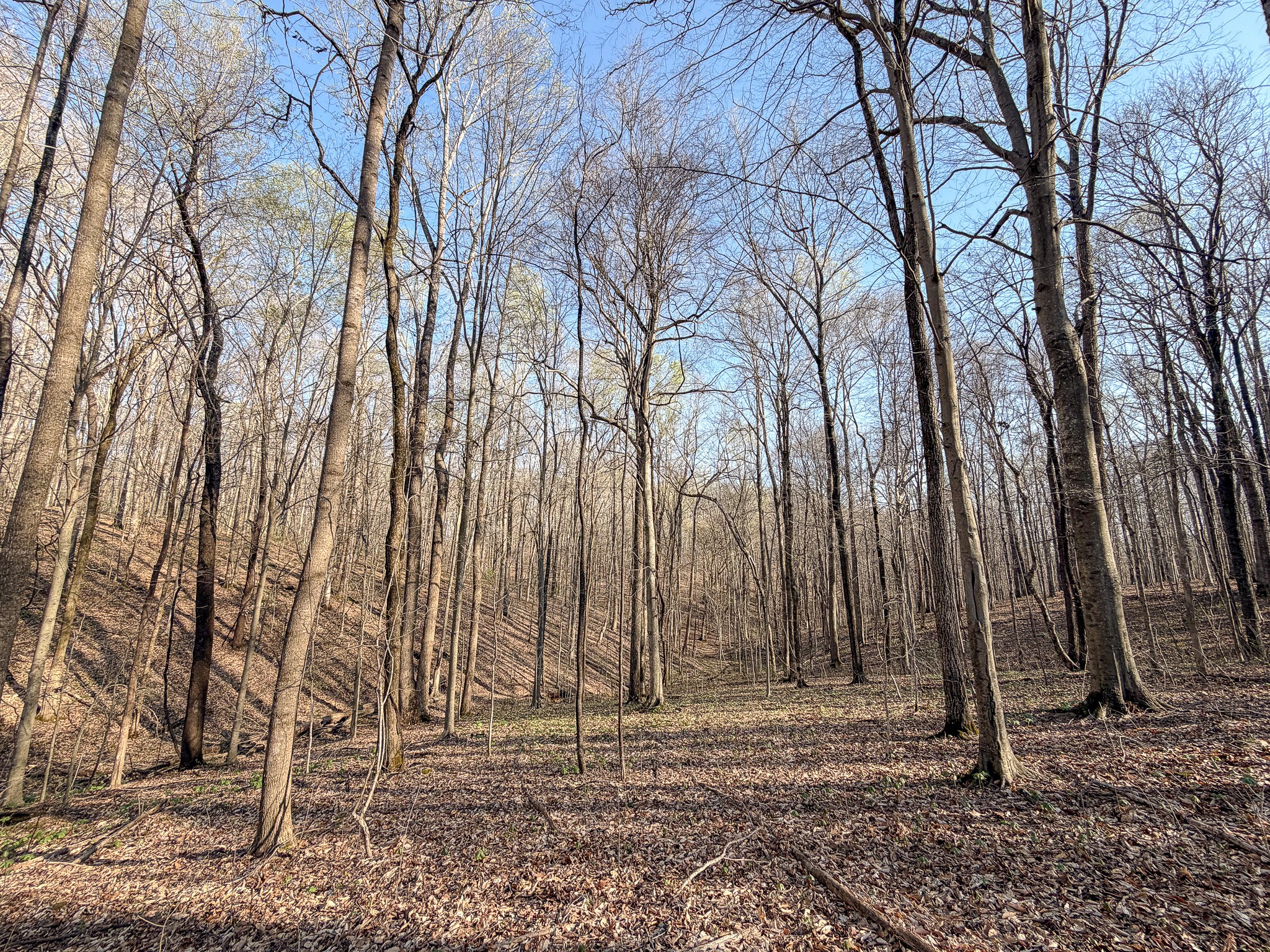 620 Piney Road Dickson, TN 37055 - Photo 38 of 39