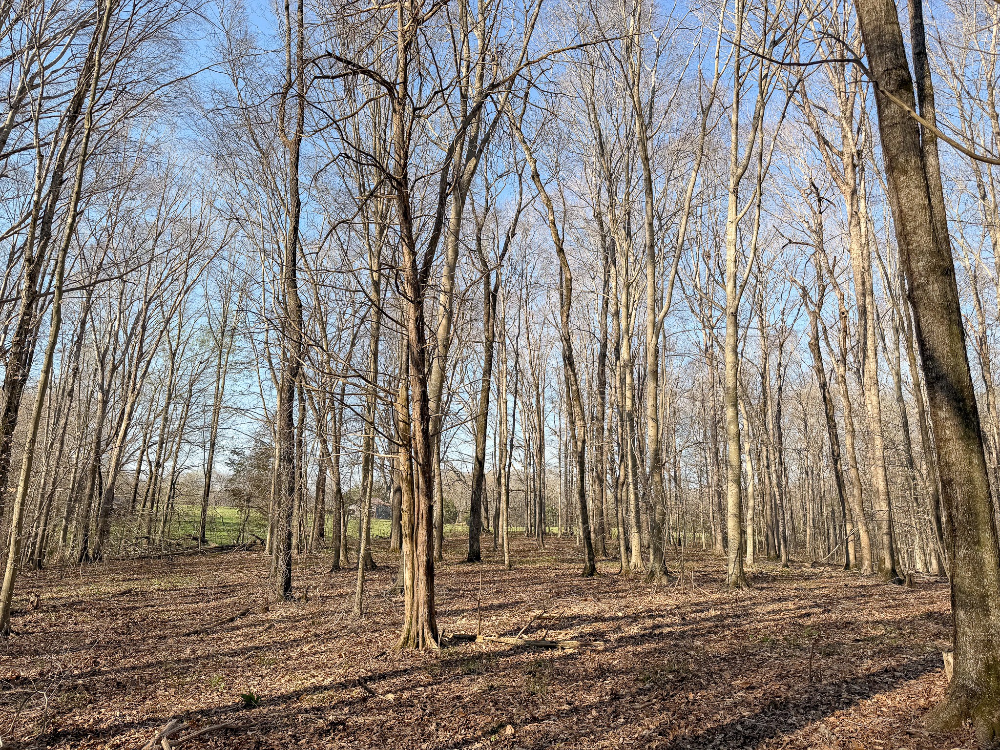 620 Piney Road Dickson, TN 37055 - Photo 39 of 39