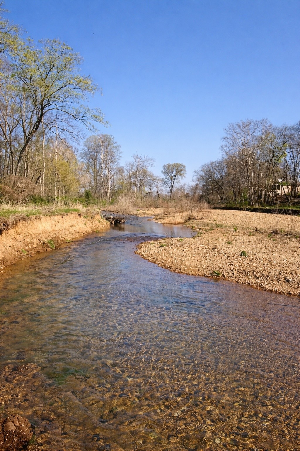 620 Piney Road Dickson, TN 37055 - Photo 4 of 39