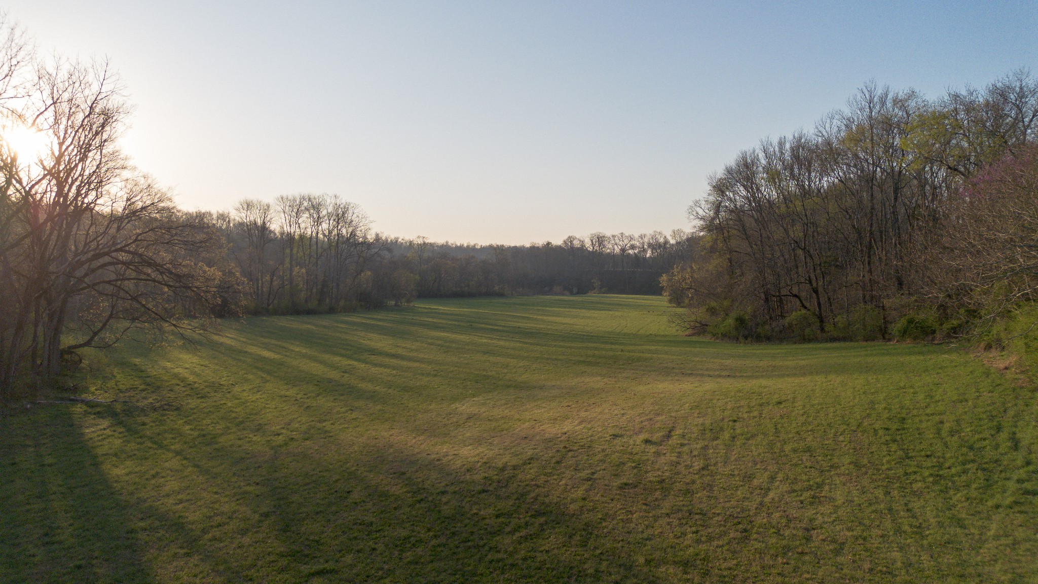 620 Piney Road Dickson, TN 37055 - Photo 5 of 39