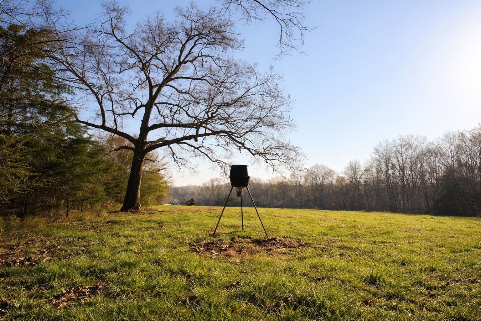 620 Piney Road Dickson, TN 37055 - Photo 7 of 39