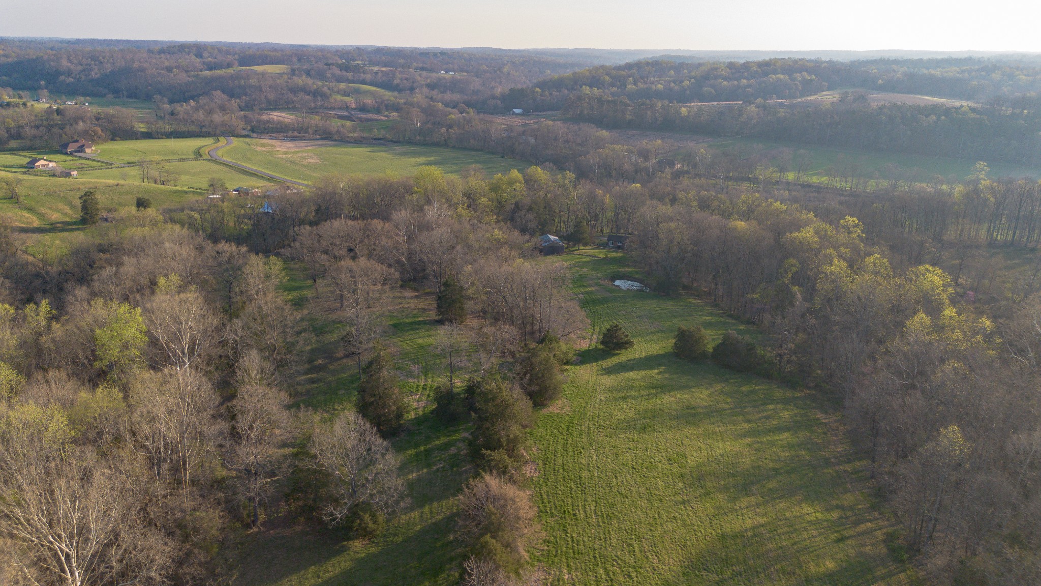 620 Piney Road Dickson, TN 37055 - Photo 10 of 39