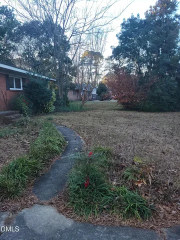 a view of a yard with plants and trees