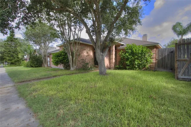 a view of a garden with a tree