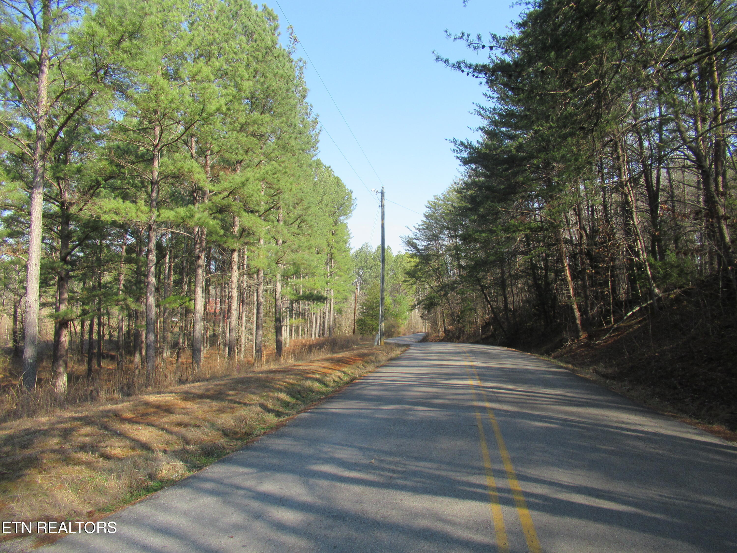 Tomotley Road Maryville, TN 37801 - Photo 2 of 12 IMG_2253