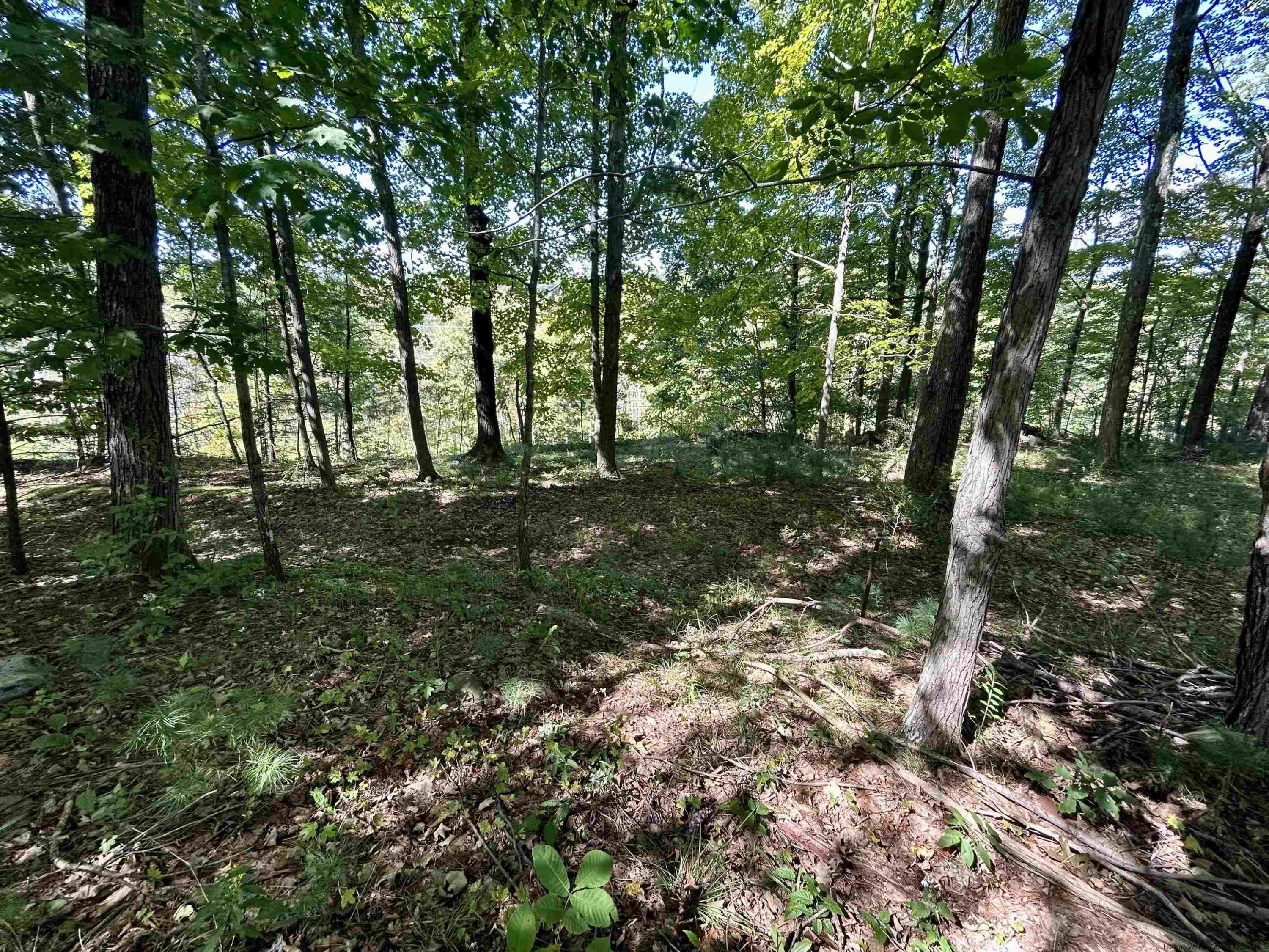 38 Rifton Terrace Rifton, NY 12471 - Photo 13 of 17 Photo 13