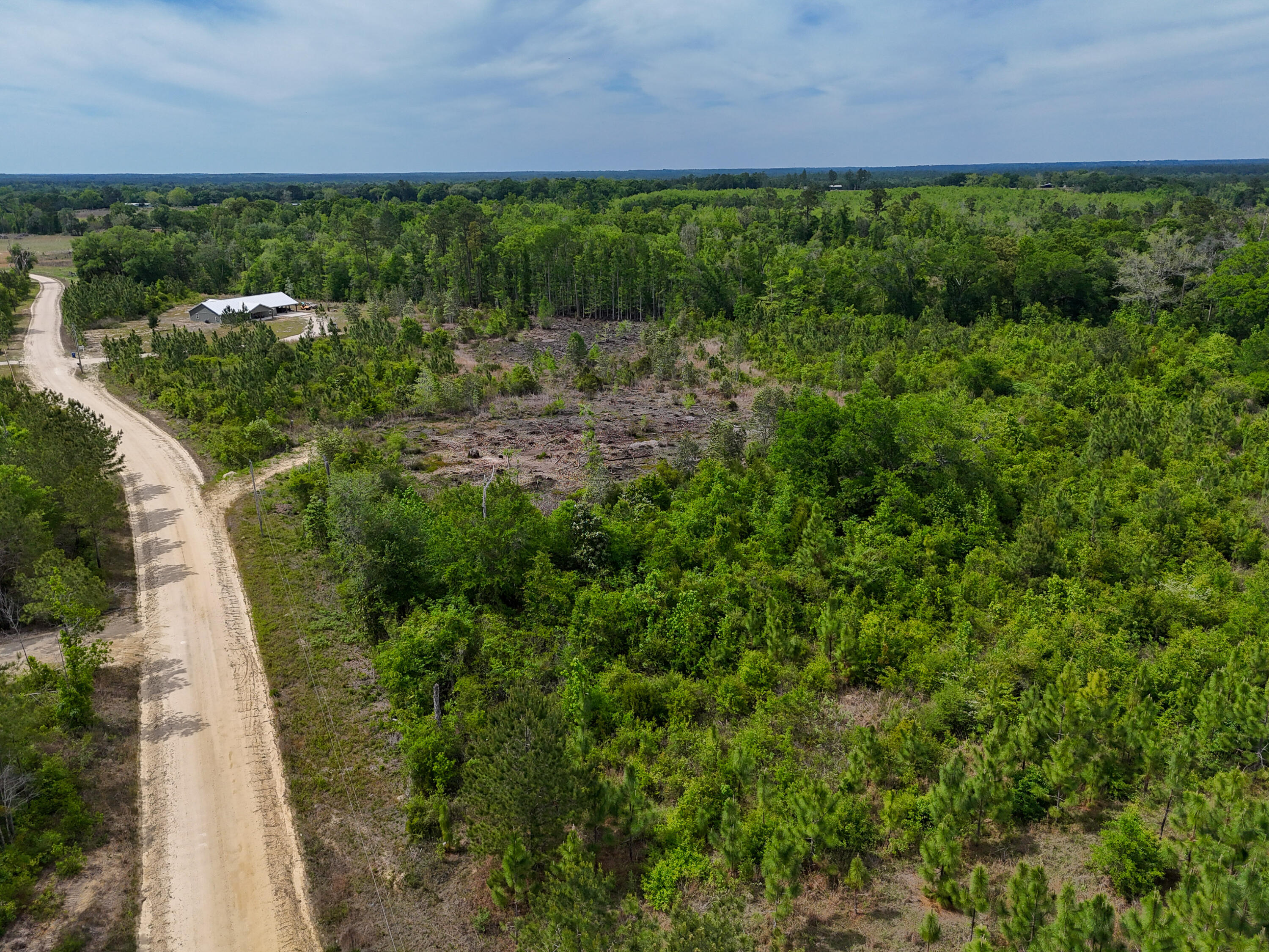 7514 Laird Road Florala, AL 36442 - Photo 38 of 48 a view of a yard