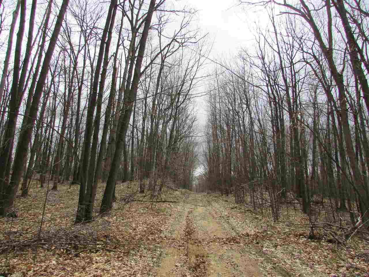 2 East Townline Lake Road Harrison, MI 48625 - Photo 7 of 13