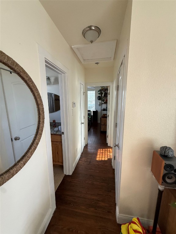 1313 Delano Street Austin, TX 78721 - Photo 21 of 32 Hall with dark wood finished floors and attic access