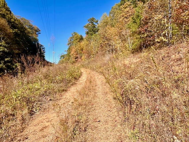 Tbd Upper Peachtree Road Murphy, NC 28906 - Photo 6 of 17