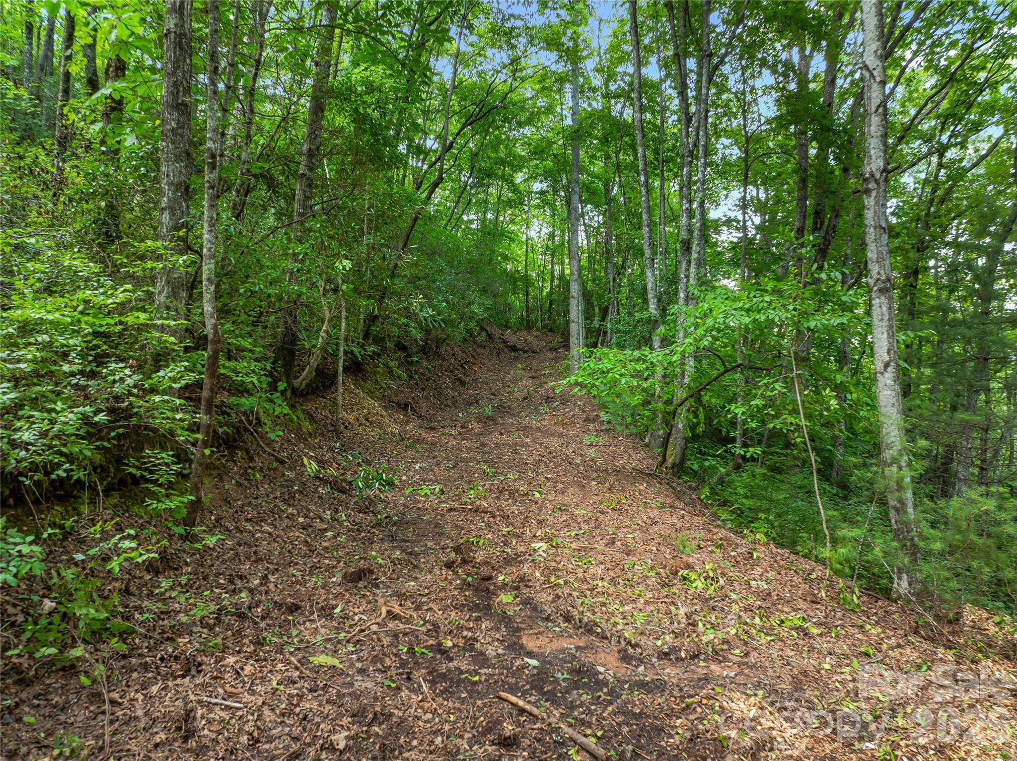 0 Frozen Creek Road Brevard, NC 28712 - Photo 11 of 35 Gallery Image 11
