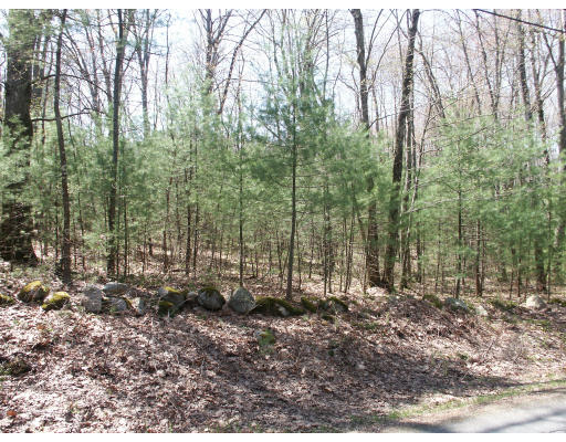 110 Bear Hill Road Merrimac, MA 01860 - Photo 1 of 1 a view of outdoor space and green space