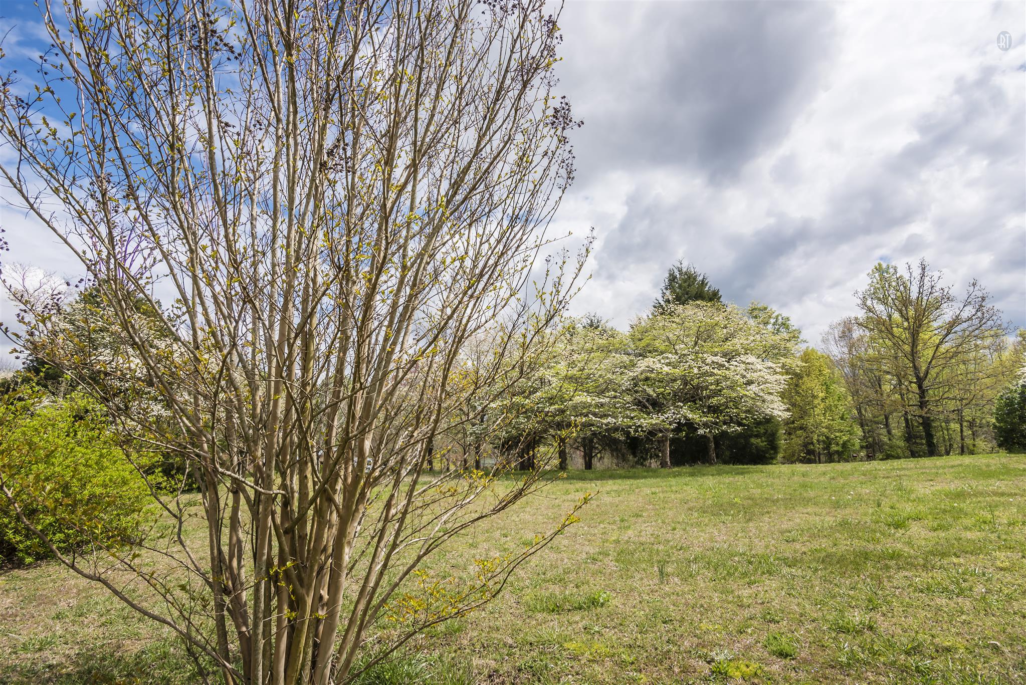 7542 King Road Fairview, TN 37062 - Photo 5 of 19