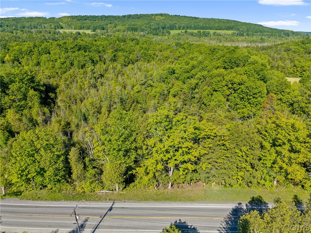 Nelson Road Cazenovia, NY 13035 - Photo 5 of 15