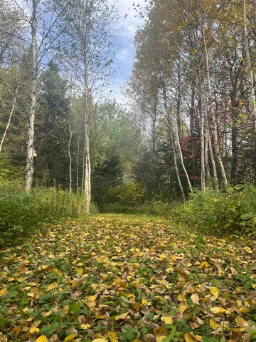 $75,000 | 5445 Little Marais Road, Finland, MN 55603