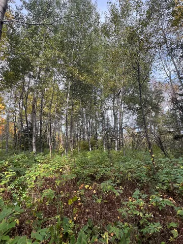 $75,000 | 5445 Little Marais Road, Finland, MN 55603