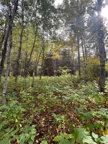 $75,000 | 5445 Little Marais Road, Finland, MN 55603