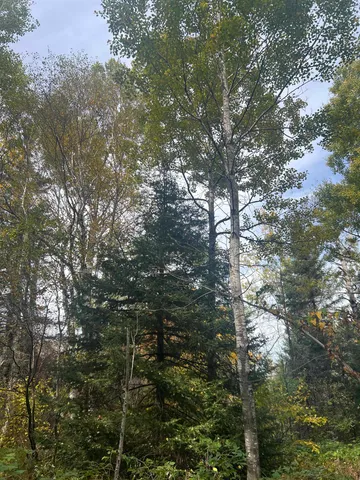 $75,000 | 5445 Little Marais Road, Finland, MN 55603