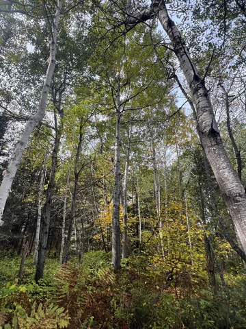 $75,000 | 5445 Little Marais Road, Finland, MN 55603