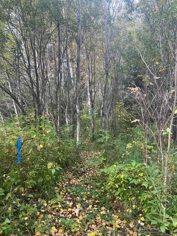 $75,000 | 5445 Little Marais Road, Finland, MN 55603