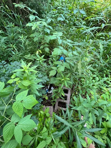 $75,000 | 5445 Little Marais Road, Finland, MN 55603