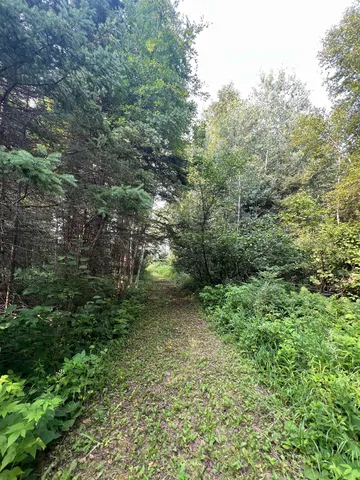 $75,000 | 5445 Little Marais Road, Finland, MN 55603