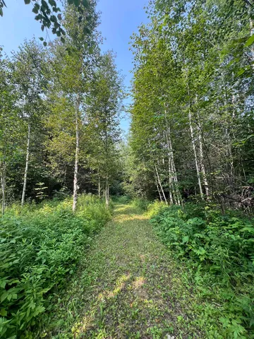 $75,000 | 5445 Little Marais Road, Finland, MN 55603