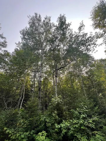 $75,000 | 5445 Little Marais Road, Finland, MN 55603