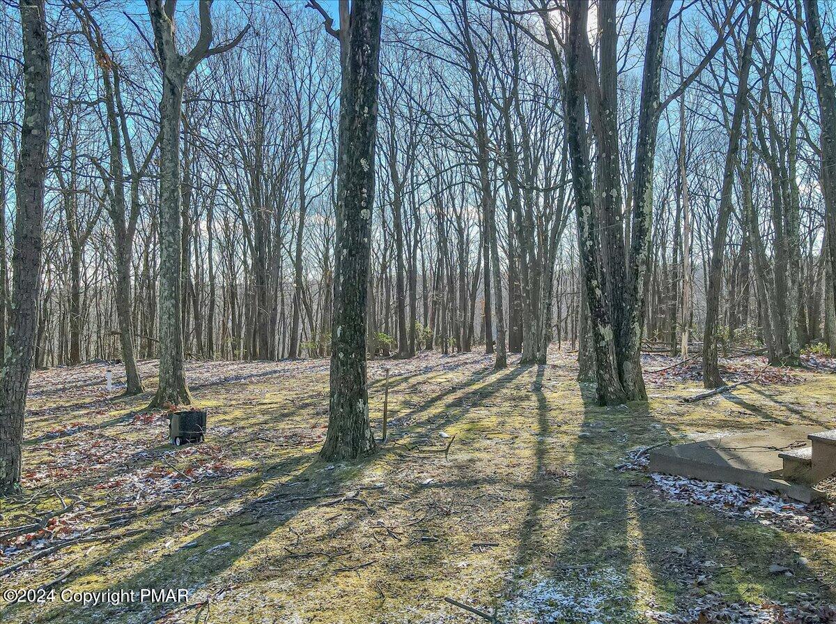 47 Holly Forest Road Mount Pocono, PA 18344 - Photo 44 of 48 44-Photo Dec 12 2024, 10 17 28 AM