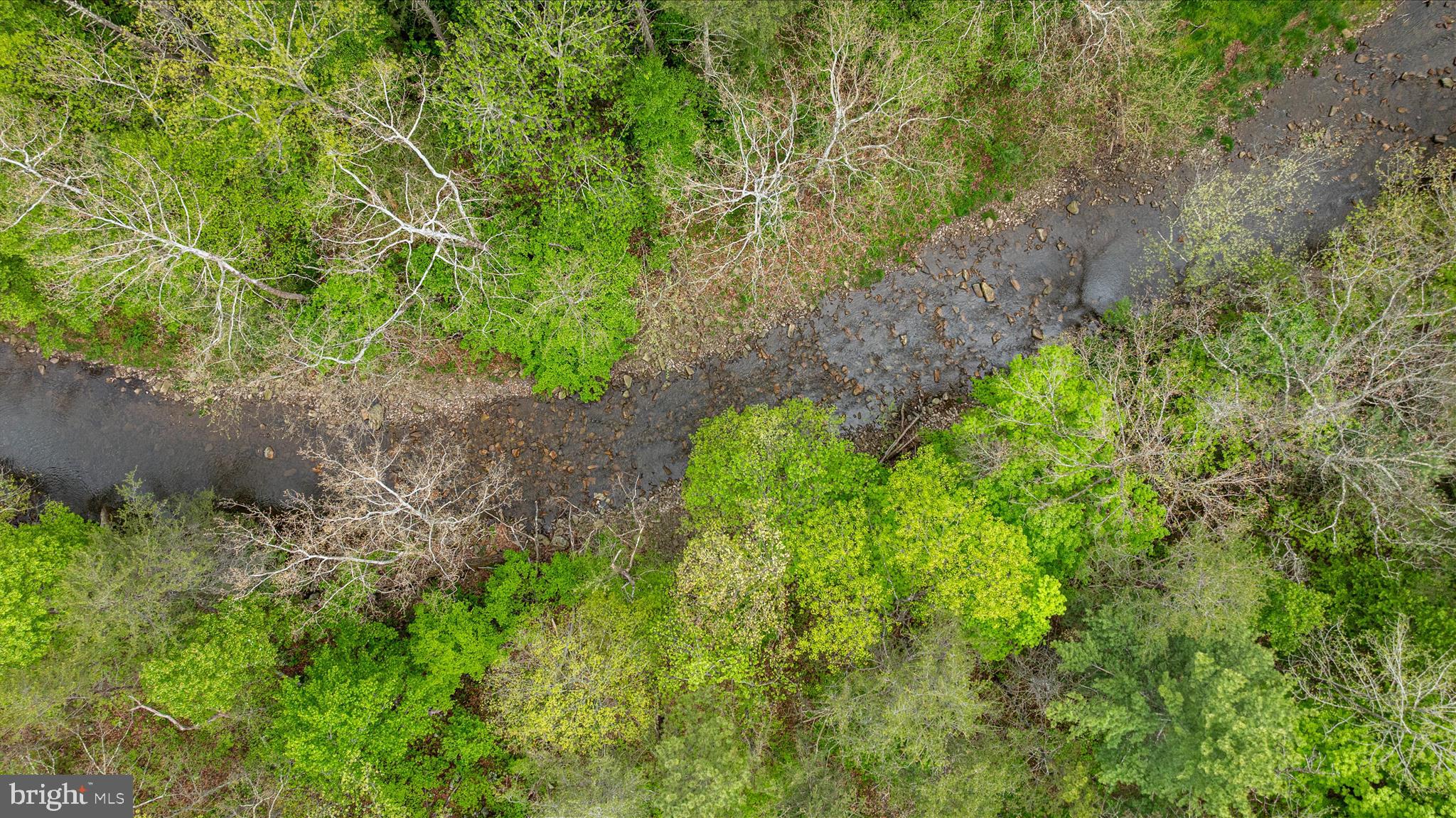 13581 Ford Hill Road Rio, WV 26755 - Photo 55 of 70 DJI_0445_13581 Ford hill Rd - Absolute Altitude -