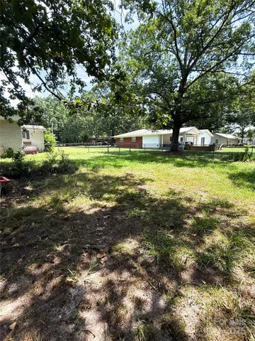 a view of a tree in a yard